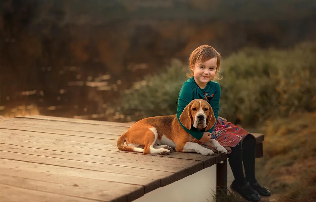 Фото обои природа, животное, доски, собака, девочка, ребёнок, пёс, бигль