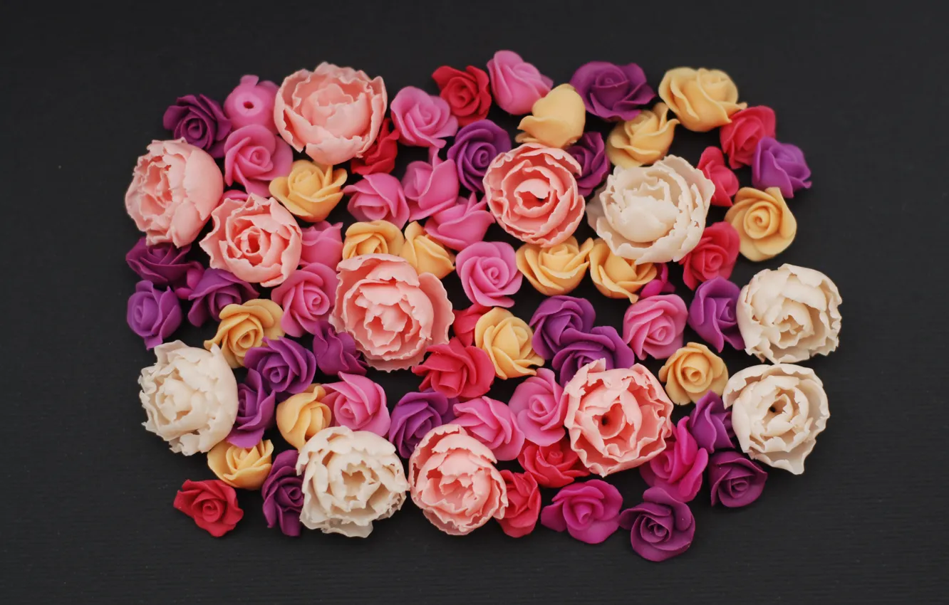 Фото обои цветы, фон, розы, colorful, pink, flowers, roses