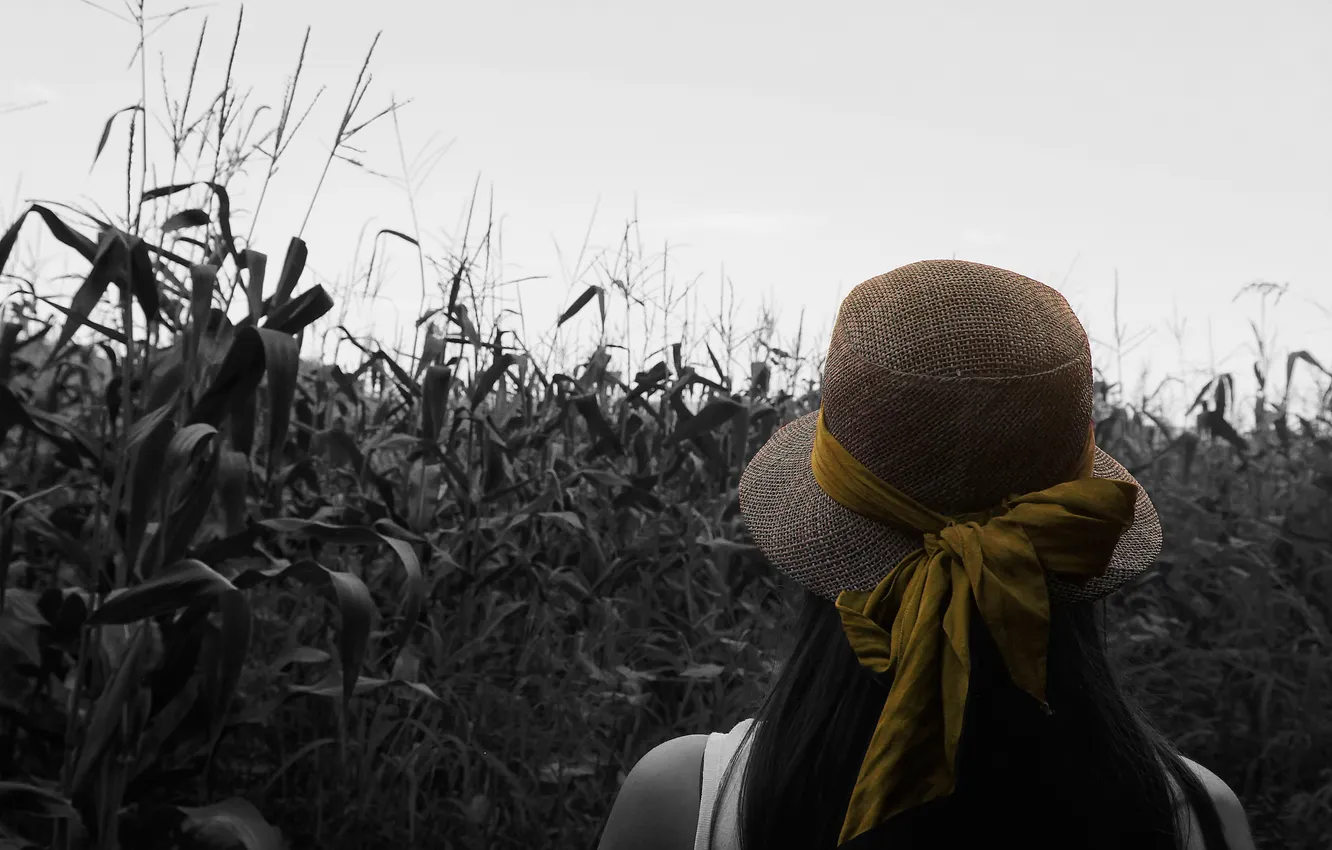 Фото обои поле, девушка, кукуруза, шляпка