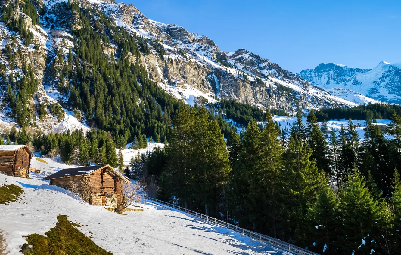 Фото обои зима, снег, деревья, горы, скалы, Швейцария, склон, Альпы