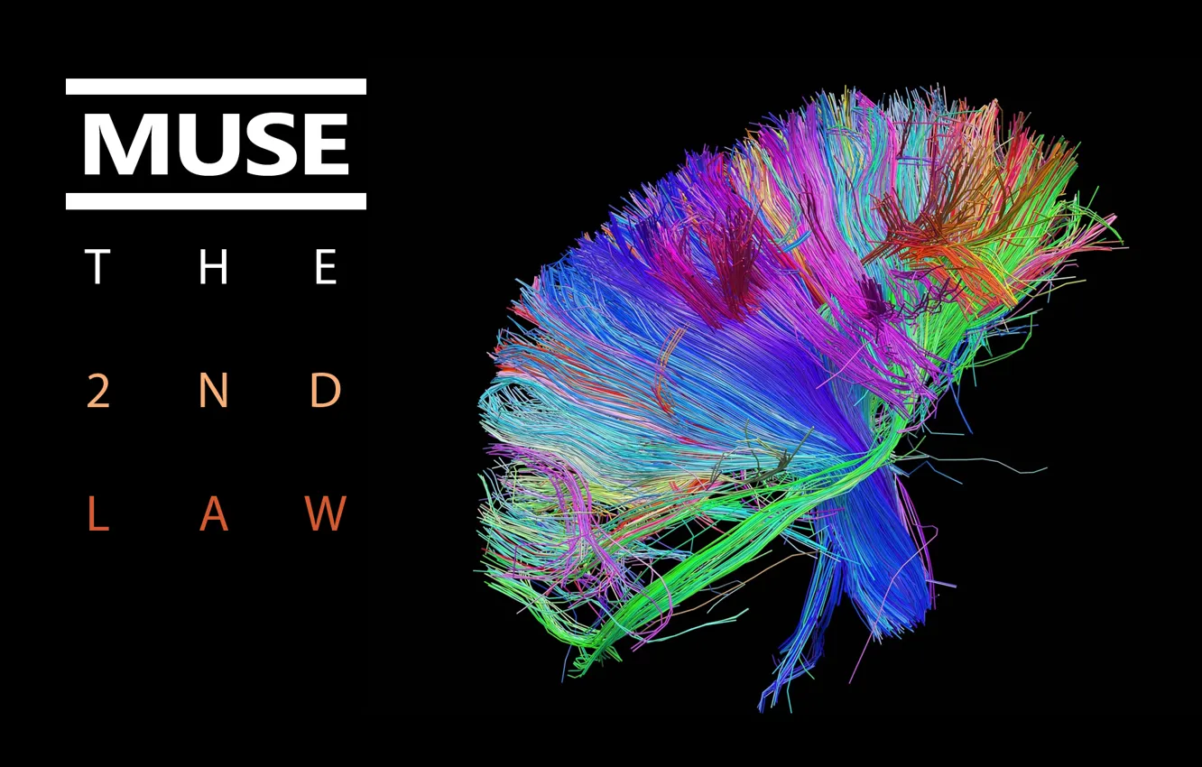 Фото обои colors, Muse, обложка, brain, bundle, The 2nd Law, wires