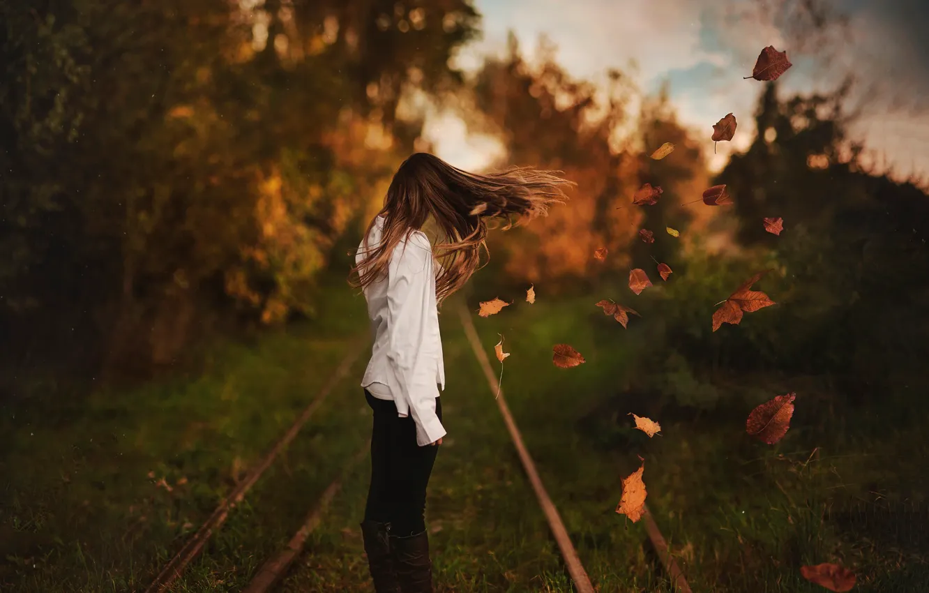 Фото обои осень, листья, девушка, ветер, волосы, боке