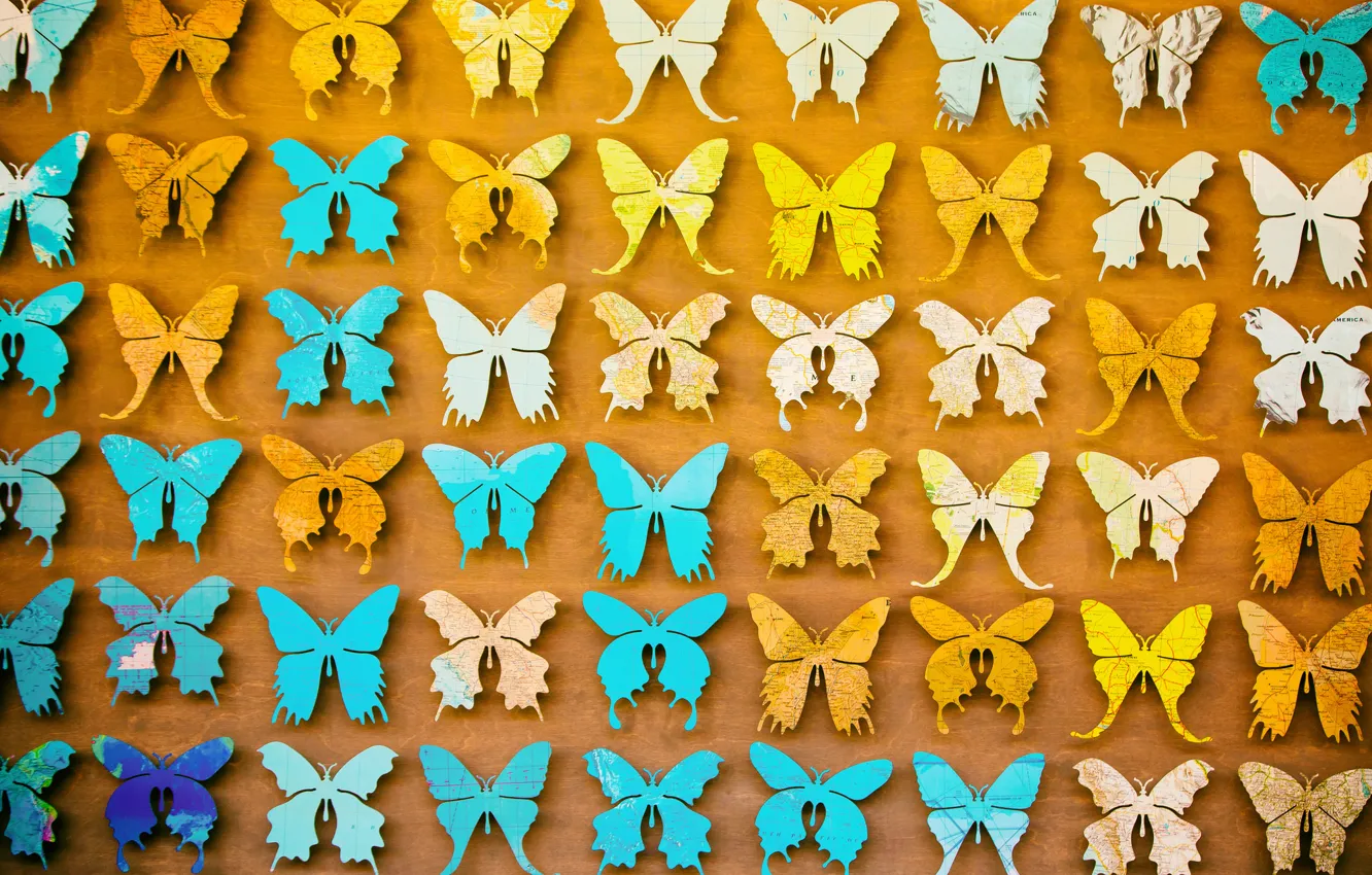 Фото обои бабочки, фон, много, разные