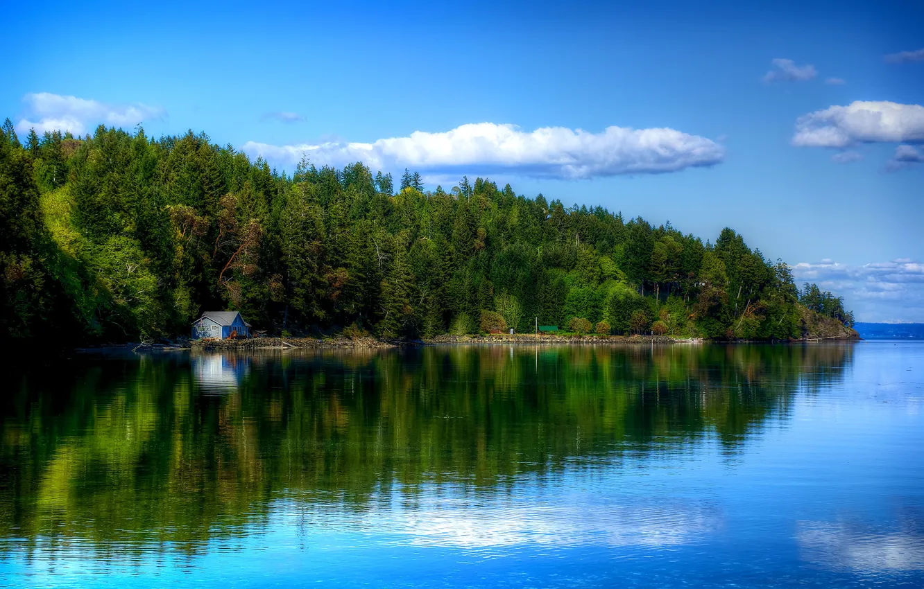 Фото обои лес, небо, облака, деревья, отражение, река, берег, домик