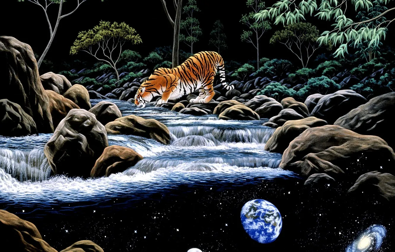 Фото обои планета, арт, тигры, реки, William Schimmel