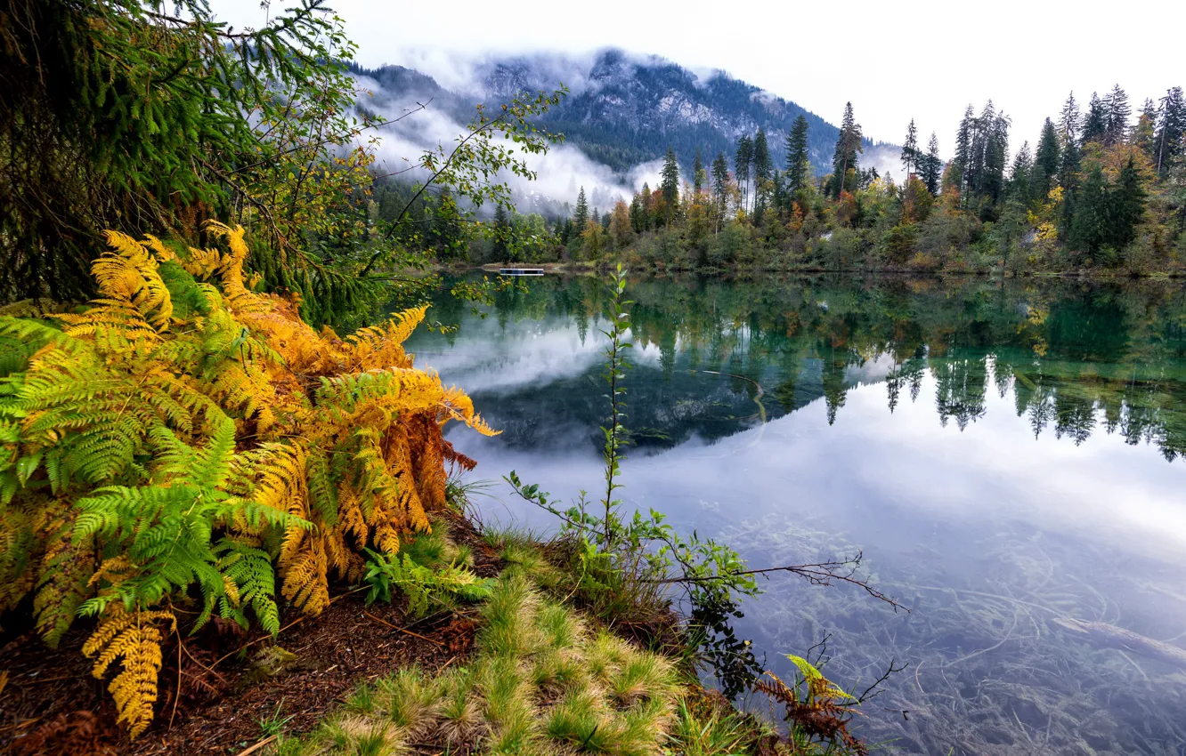 Фото обои осень, облака, деревья, пейзаж, горы, озеро, Швейцария, Граубюнден