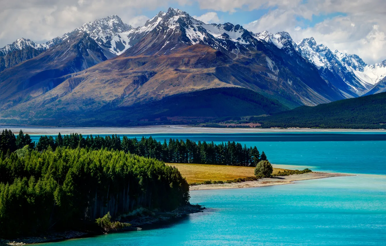 Фото обои лес, деревья, горы, озеро, Новая Зеландия, New Zealand, Lake Tekapo, Текапо
