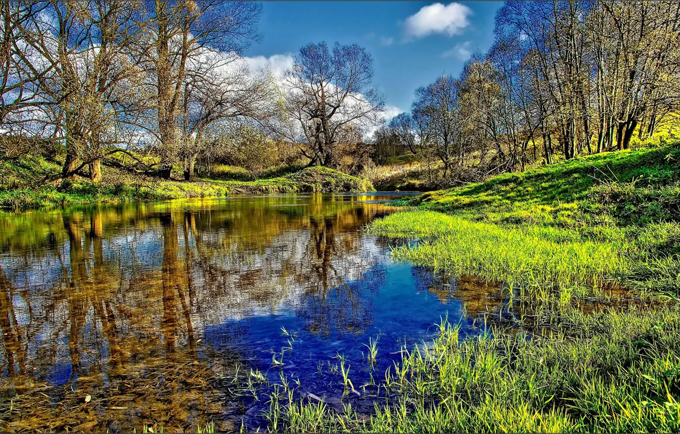 Фото обои ЛЕС, ТРАВА, ВОДА, ОТРАЖЕНИЕ, ДЕРЕВЬЯ, РЕЧКА, ЗЕЛЁНАЯ, РУСЛО