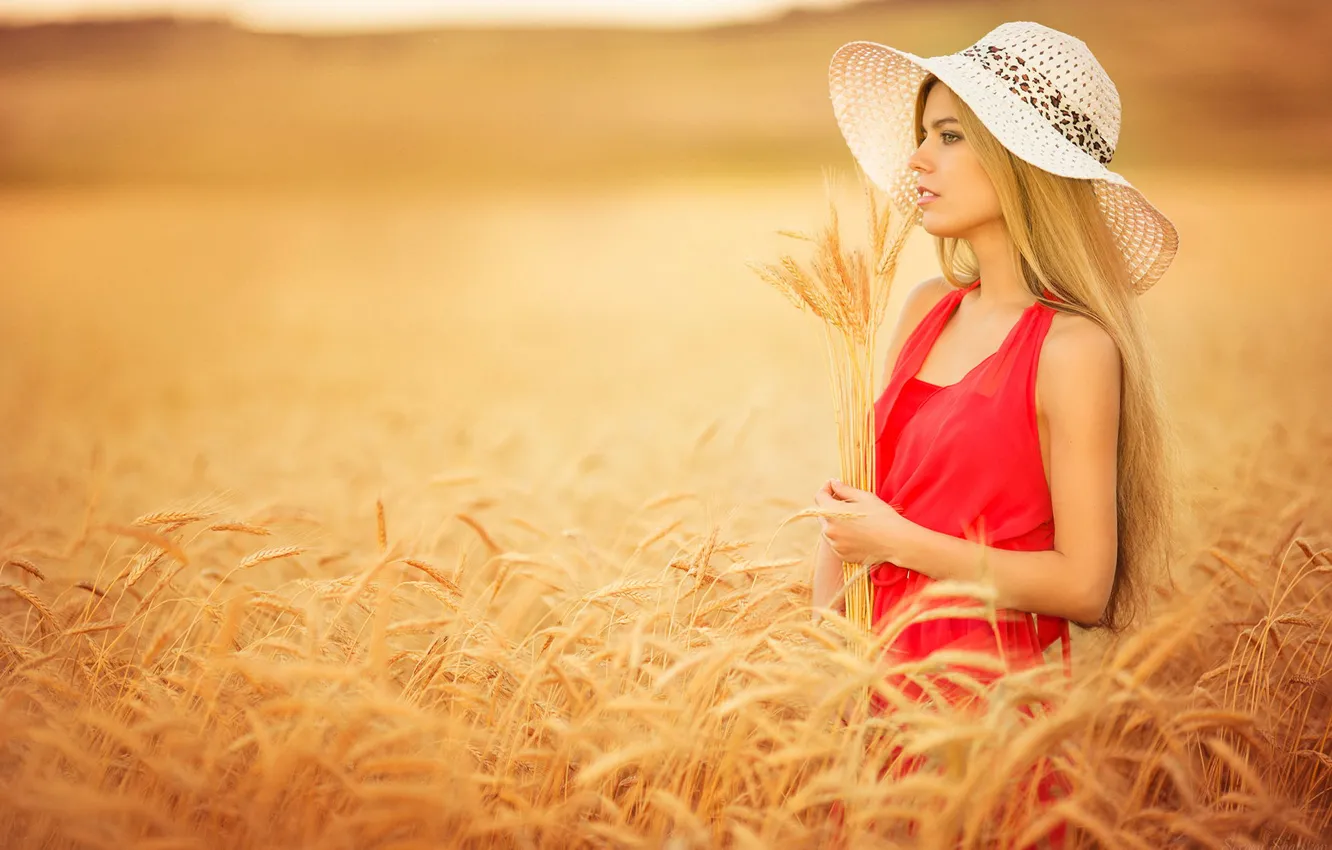 Фото обои поле, девушка, колоски, шляпка, в красном
