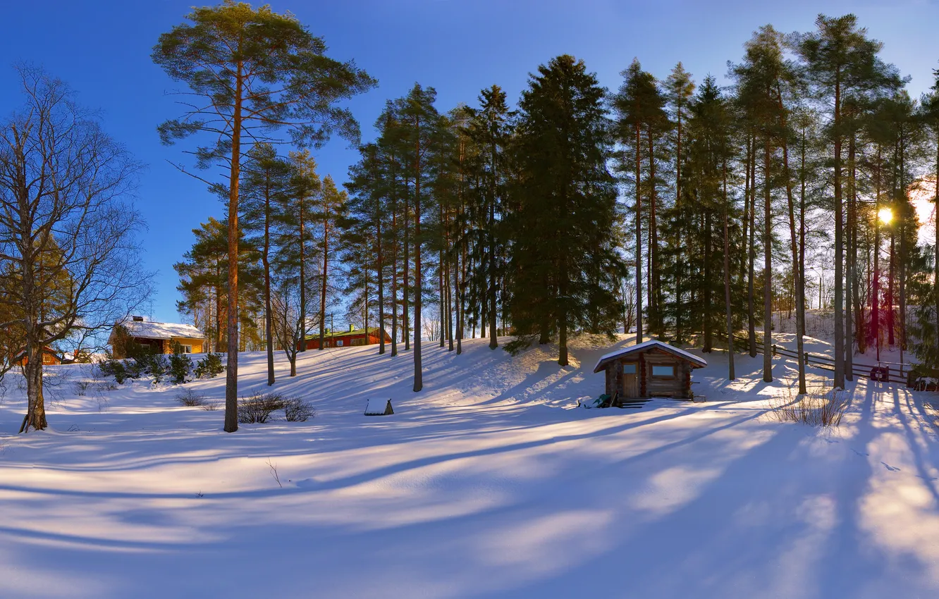 Фото обои зима, снег, дома, сосны