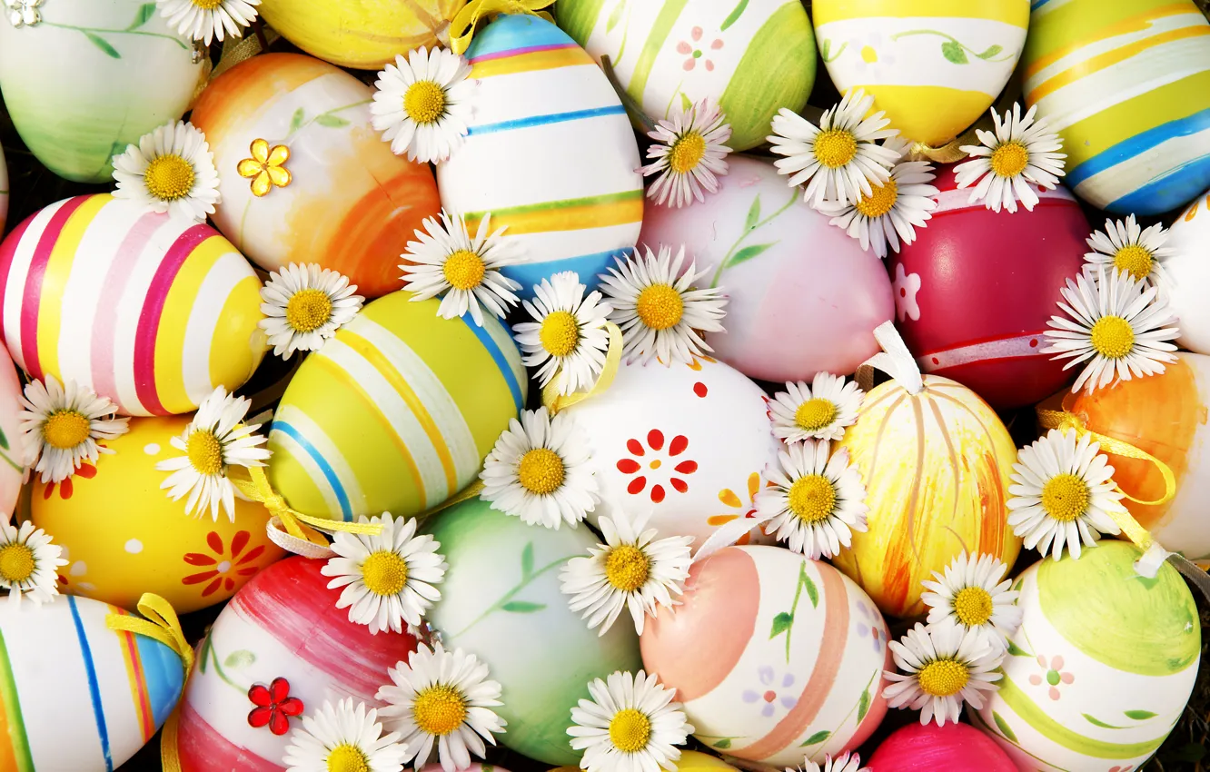 Фото обои цветы, ромашки, яйца, Пасха, flowers, Easter, eggs