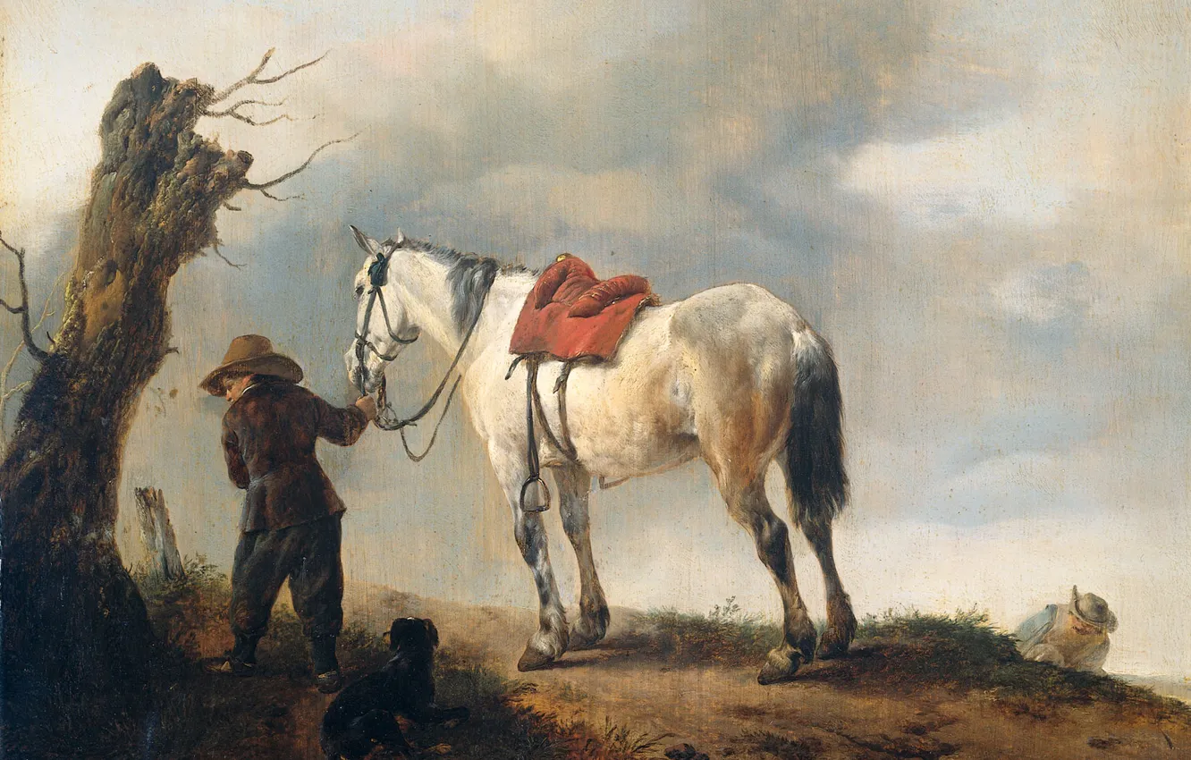 Фото обои масло, картина, Филипс Вауэрман, Белая Лошадь
