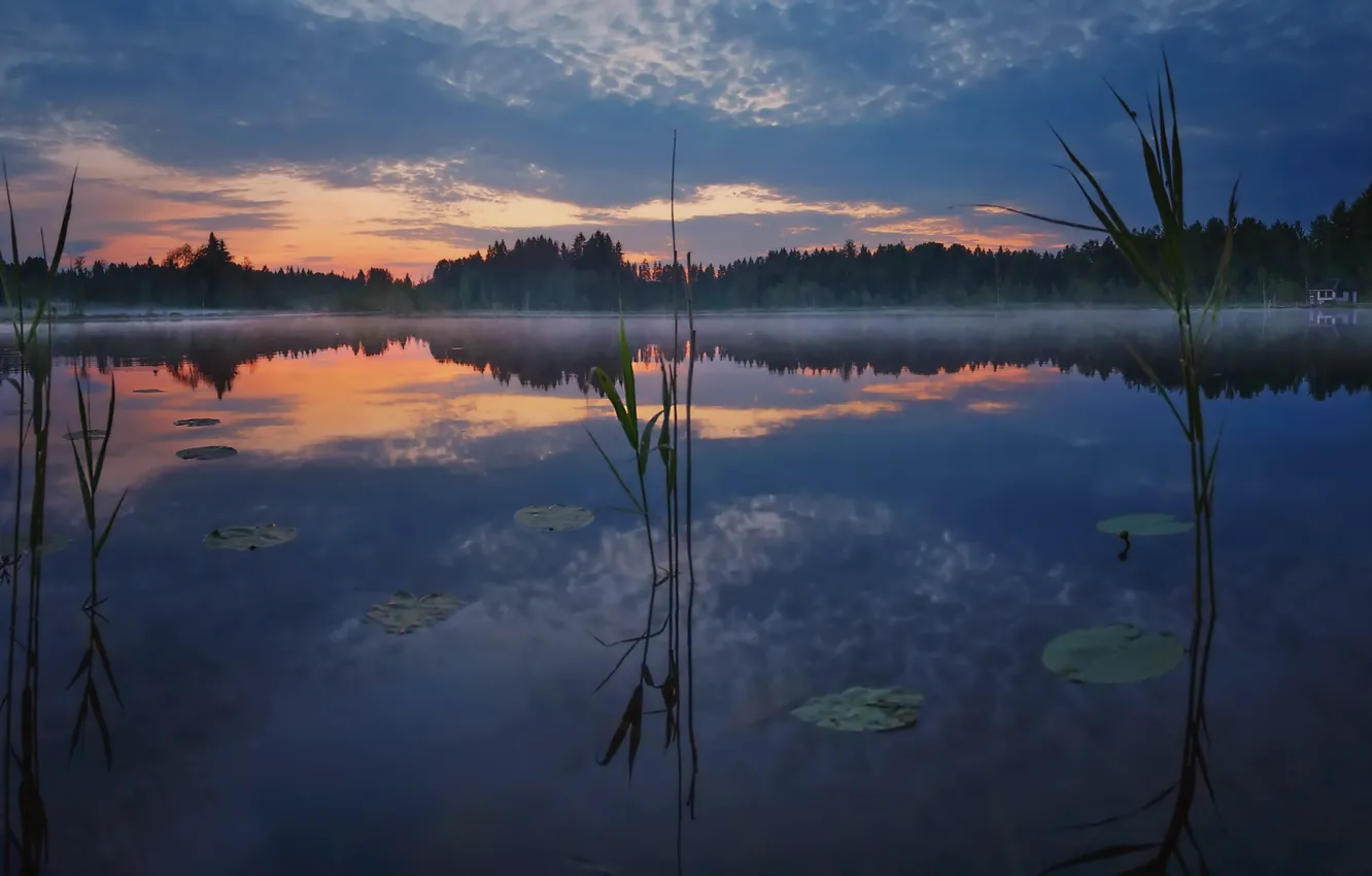 Фото обои пейзаж, ночь, природа, туман, озеро, леса, белая ночь