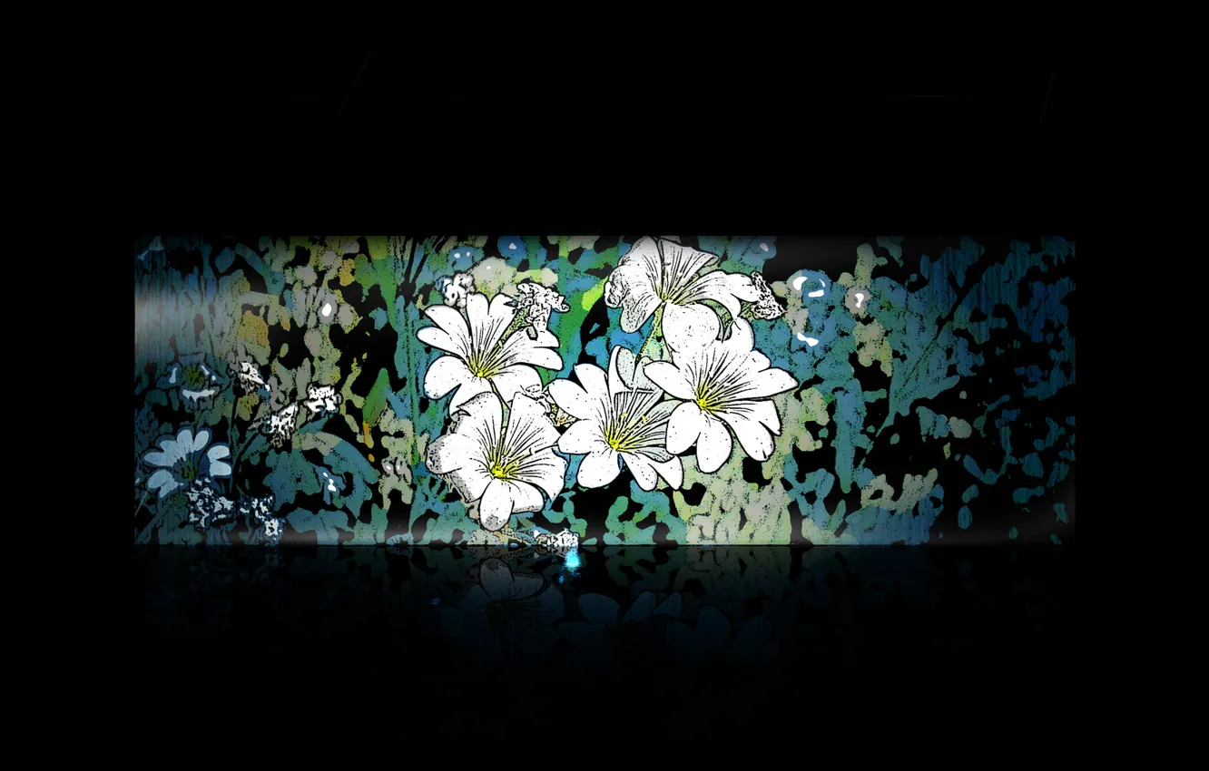 Фото обои цветы, темный фон, узор, минимализм