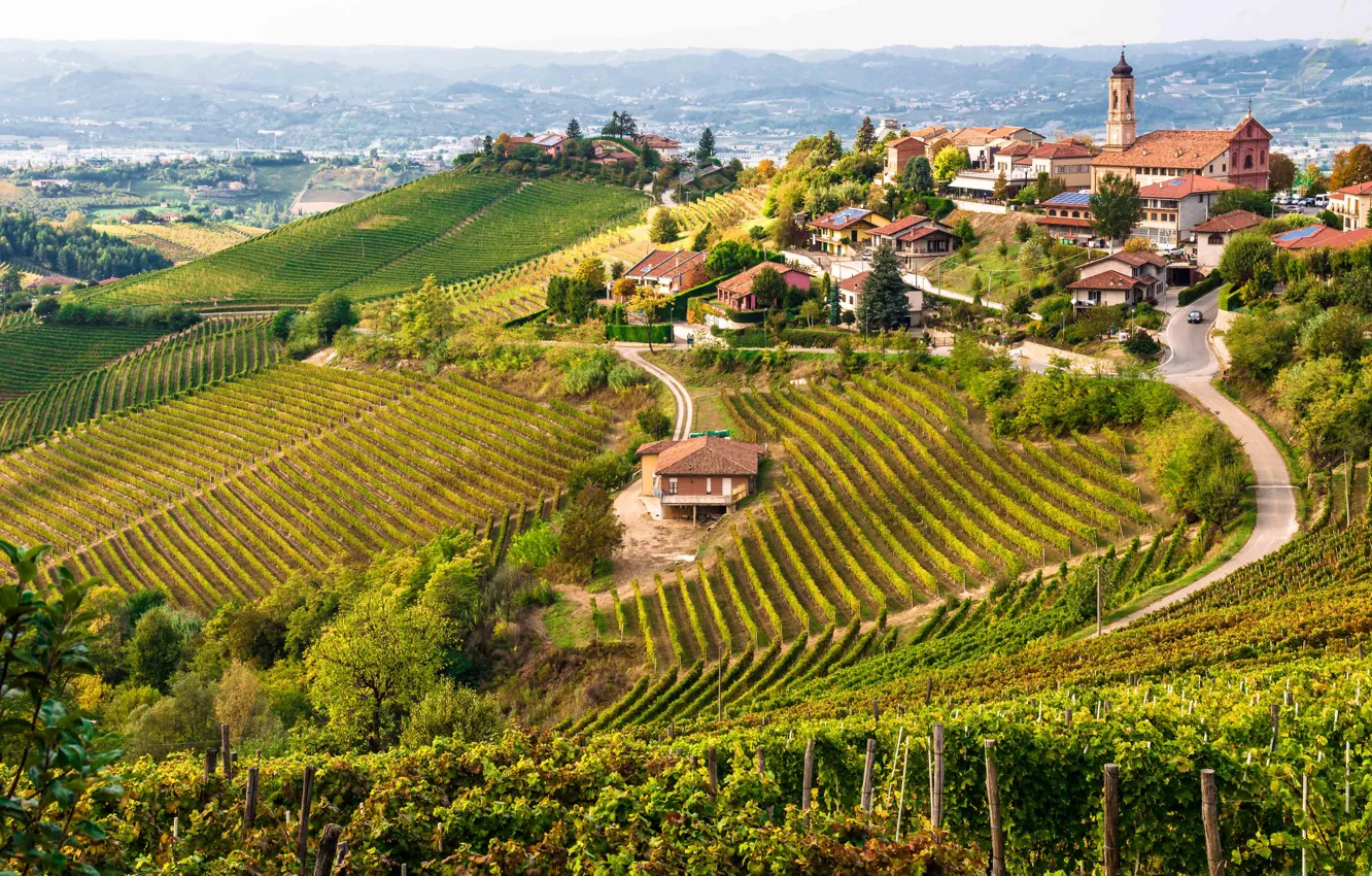 Фото обои Italy, wine, Piemonte, red wine, vineyards, Denominazione di Origine Controllata e Garantita, Barbaresco, DOCG