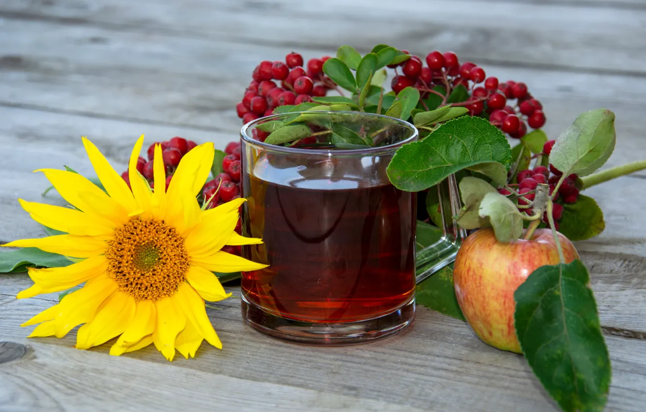 Фото обои листья, подсолнухи, цветы, стакан, ягоды, стол, чай, яблоки