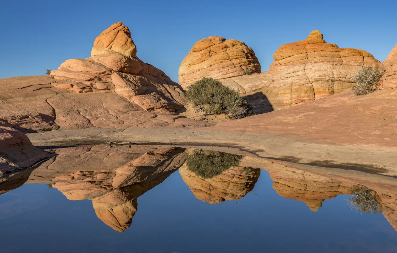 Фото обои Аризона, США, Arizona, Coyote Buttes, Coconino
