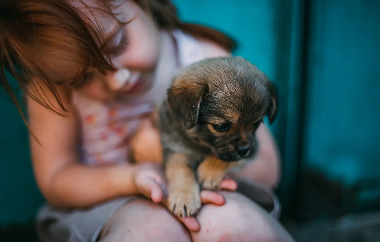 Фото обои малыш, девочка, щенок, друзья, пёсик, Дарья Шевченко