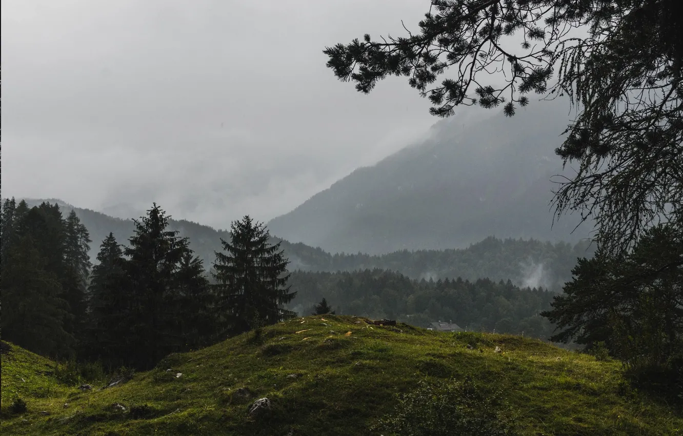 Фото обои лес, горы, Германия, Бавария, Грайнау