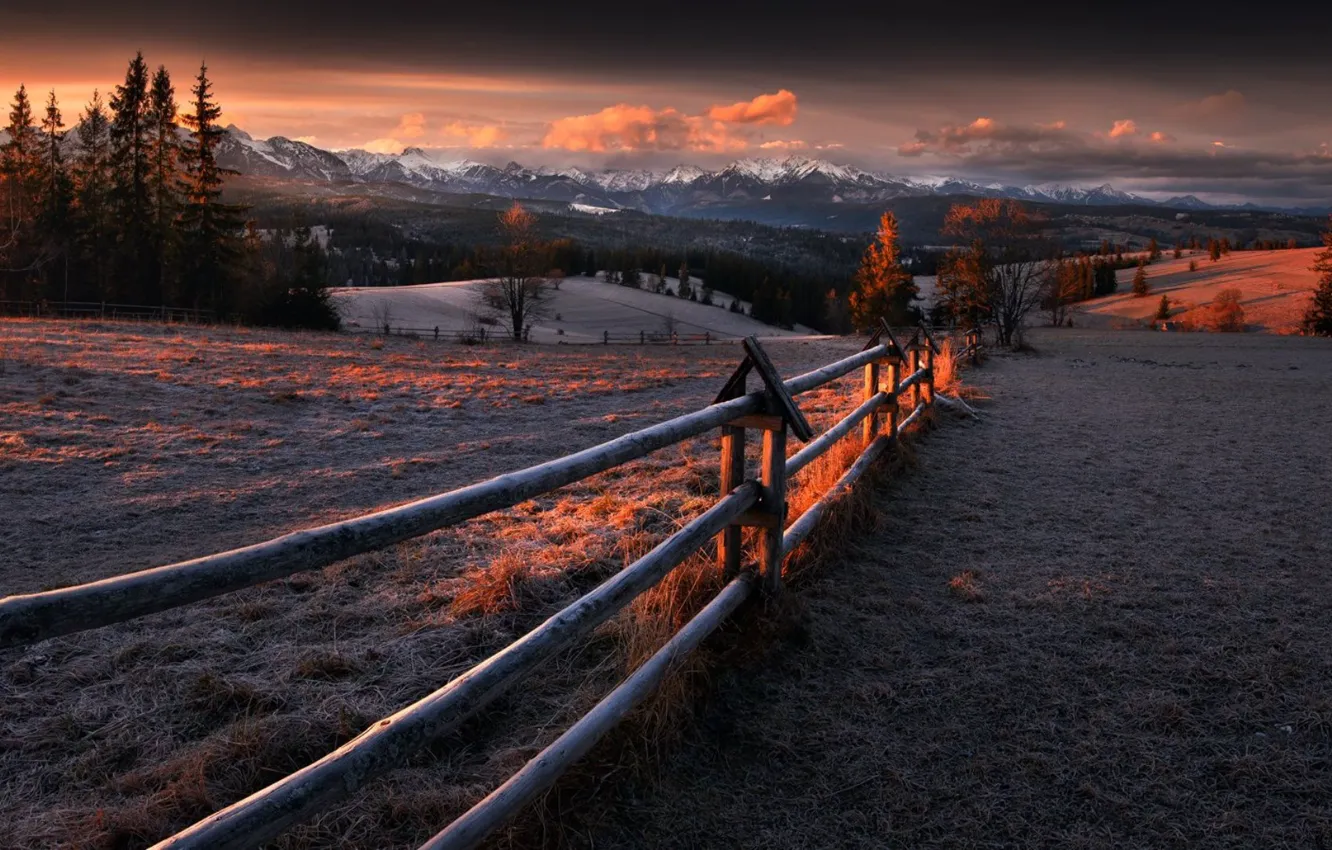 Фото обои поле, забор, утро