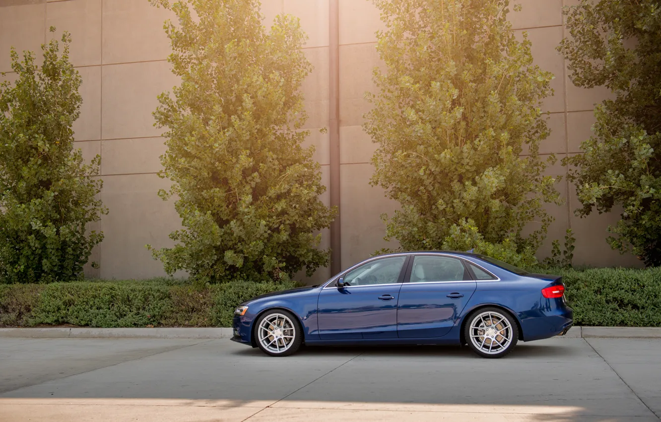 Фото обои Audi, ауди, профиль, синяя, blue