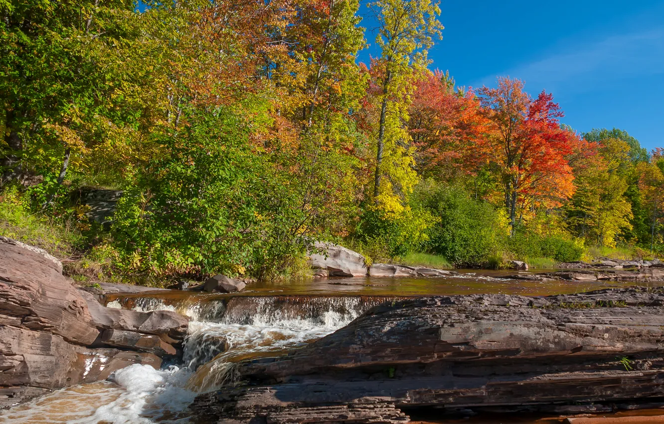 Фото обои осень, лес, небо, деревья, река, камни, скалы