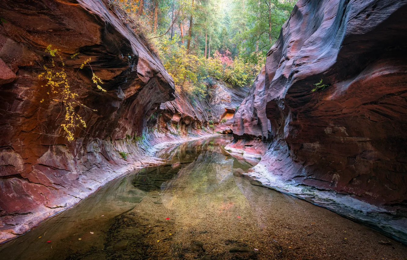 Фото обои природа, река, скалы