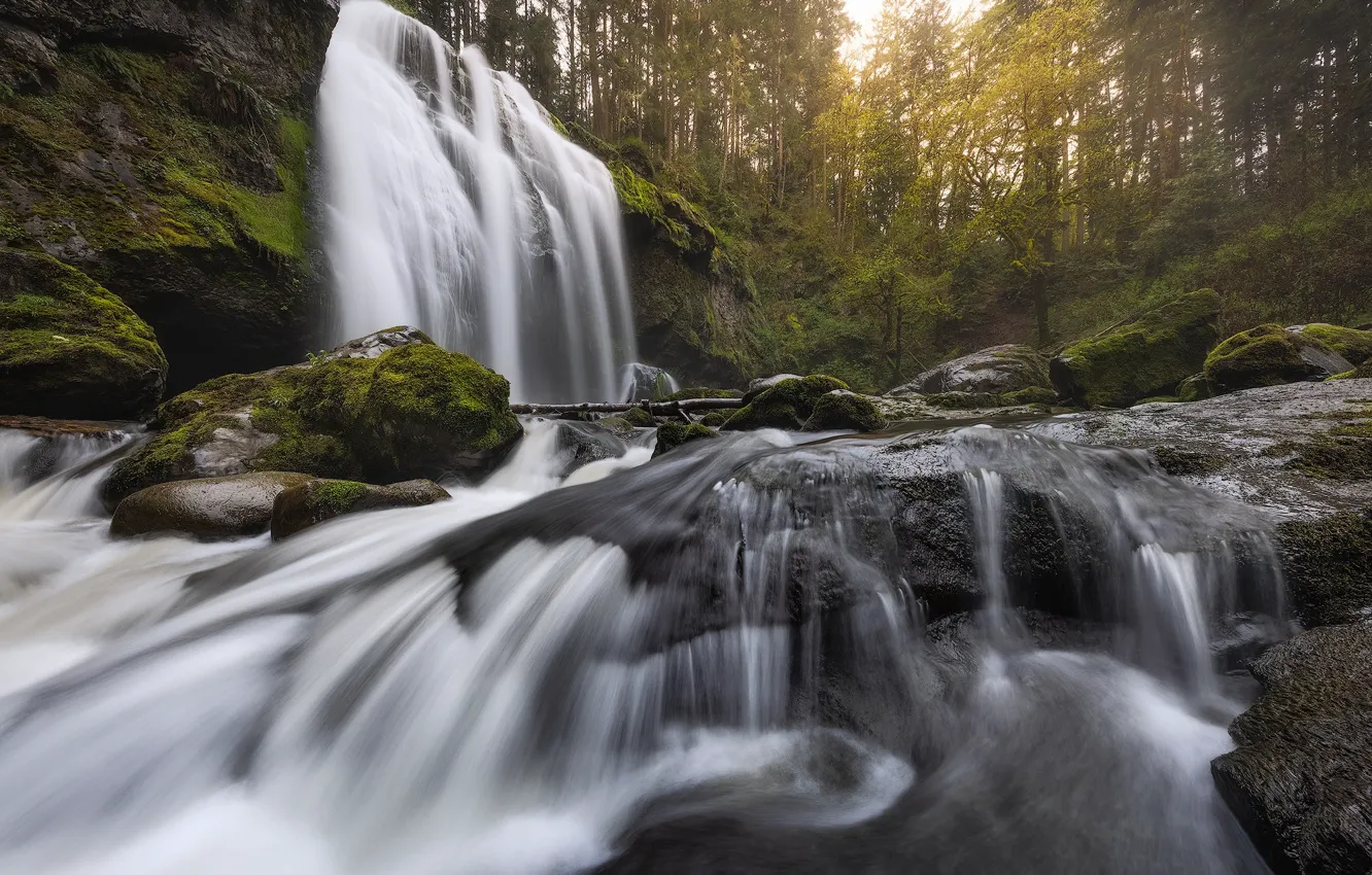 Фото обои лес, река, камни, водопад, каскад, штат Вашингтон