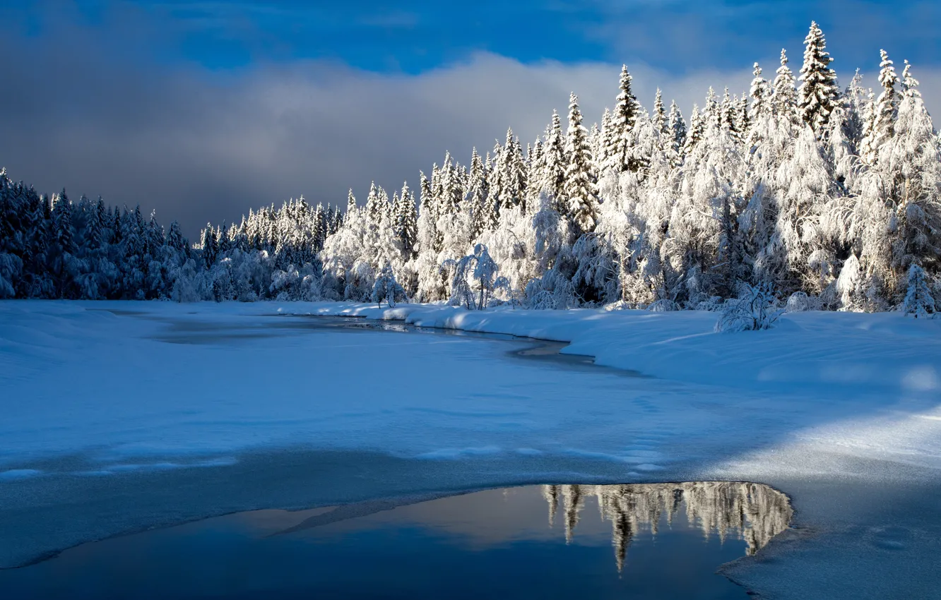 Фото обои зима, лес, небо, вода, облака, свет, снег, деревья