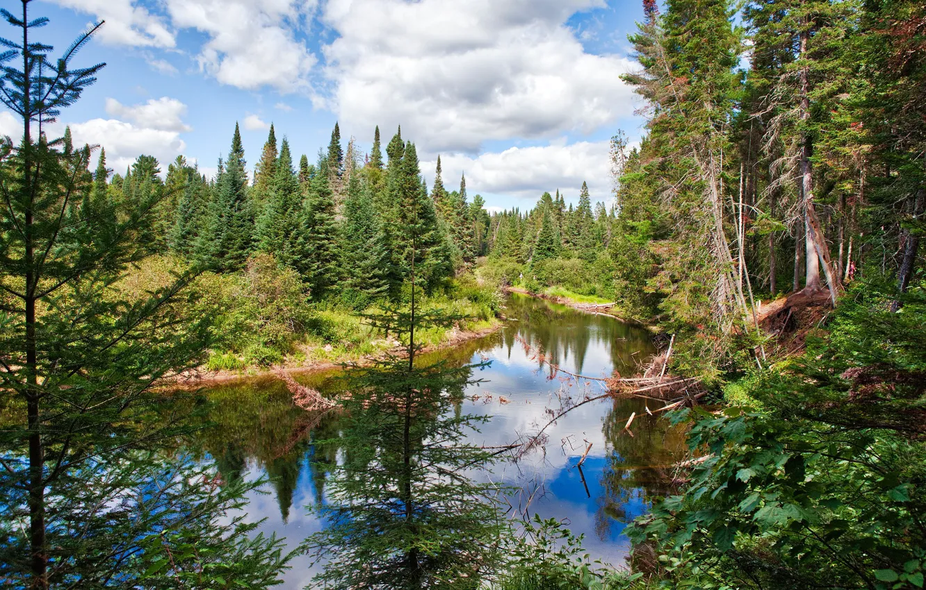 Фото обои облака, деревья, природа, парк, река, Канада, Algonquin Provincial Park