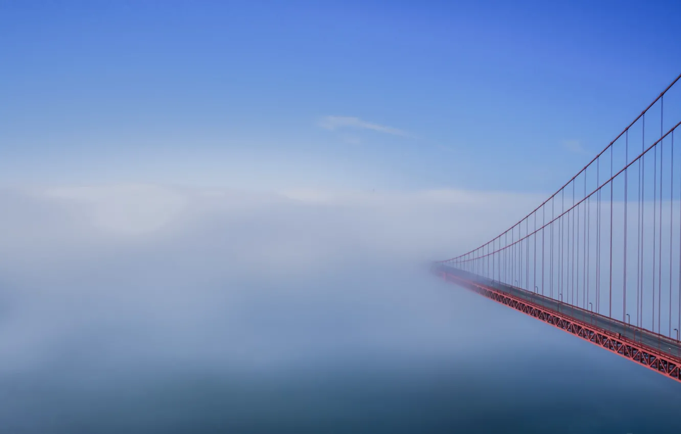 Фото обои мост, туман, утро