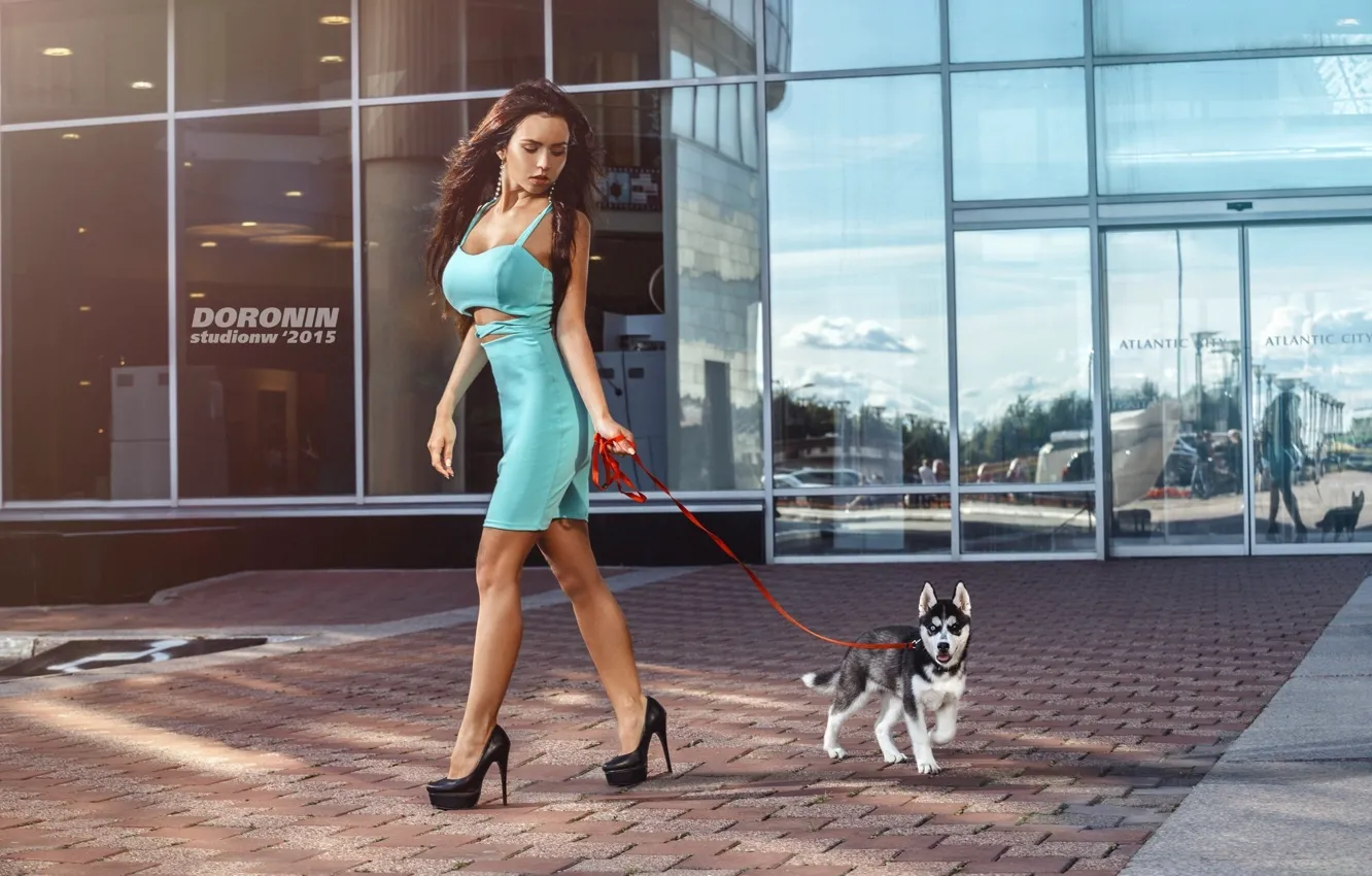 Фото обои девушка, отражение, здание, собака, фигура, стройная, платье, брюнетка
