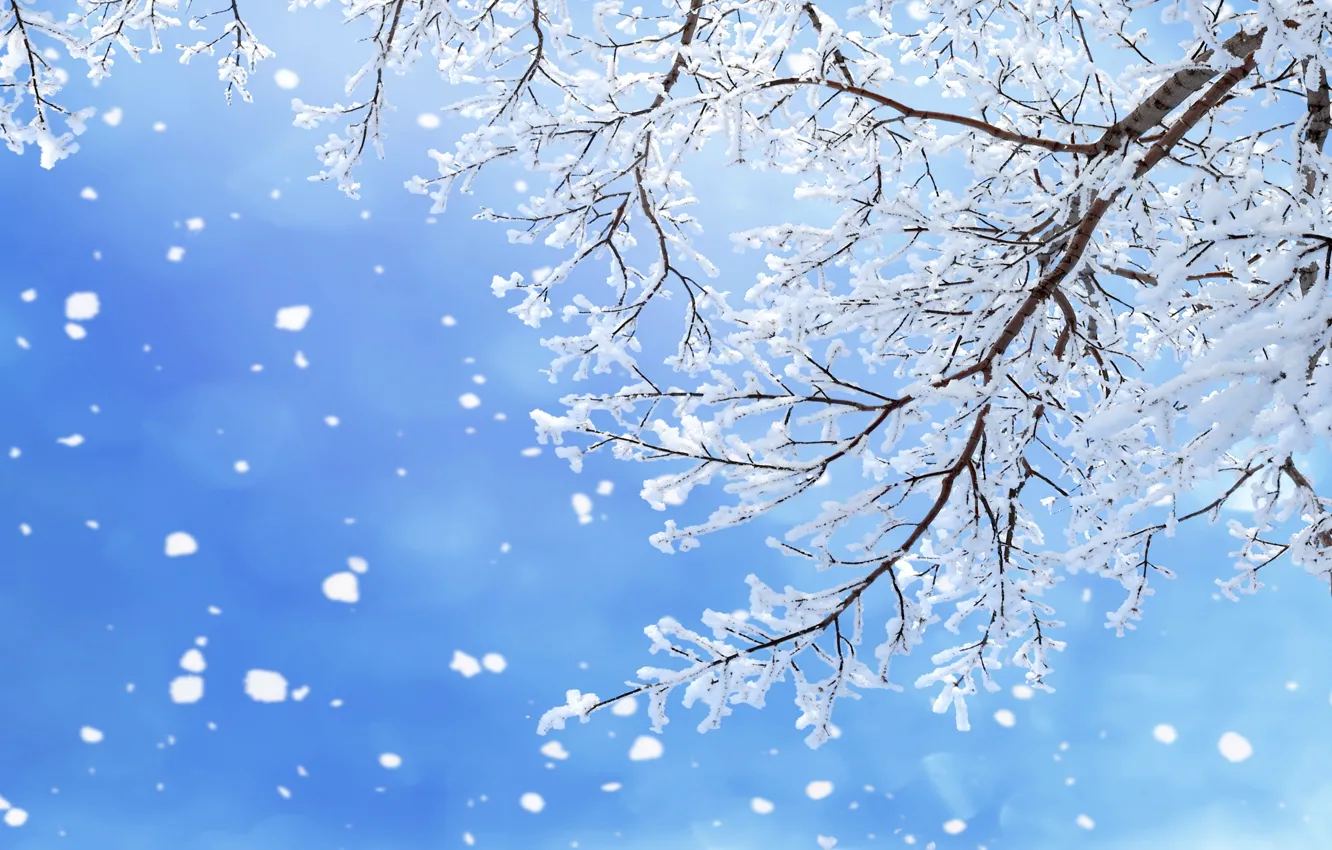 Фото обои зима, лес, снег, деревья, снежинки, nature, winter, snow