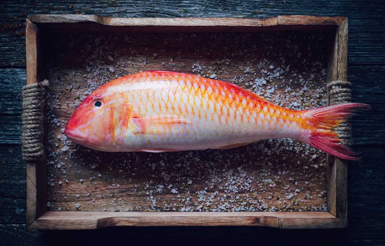 Фото обои золотая рыбка, специи, соль
