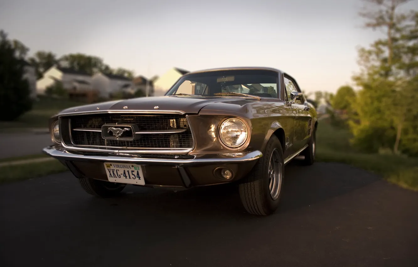 Фото обои Mustang, Ford, 1967