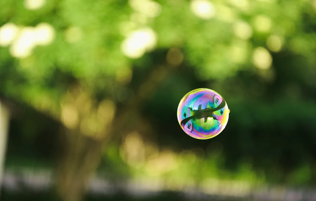 Фото обои зелень, отражение, фото, шар, пузырь, мыльный
