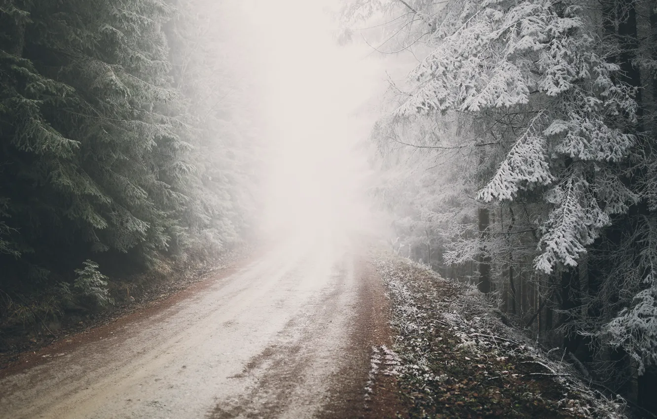Фото обои зима, иней, дорога, лес, природа, туман, Австрия, мороз