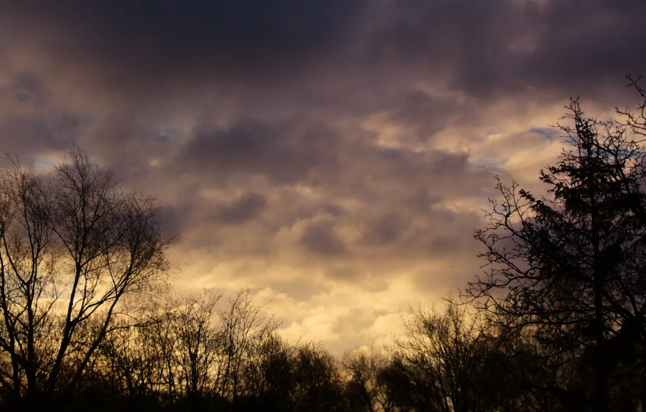 Фото обои sky, cloud, morning