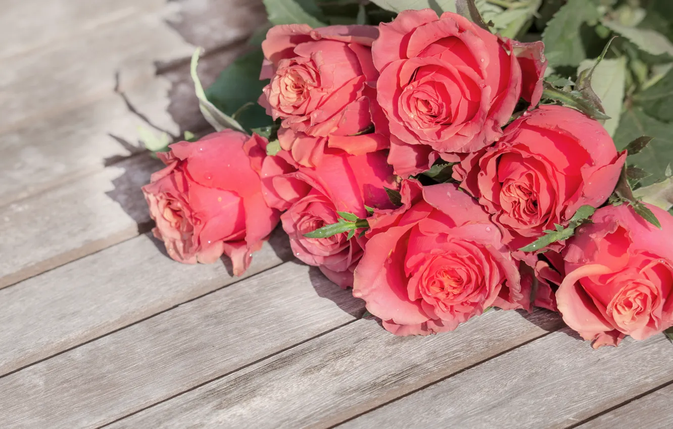 Фото обои цветы, розы, букет, wood