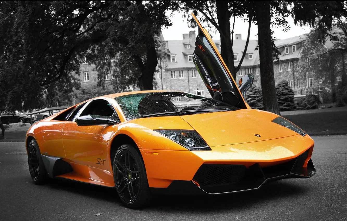 Фото обои Orange, cars, auto, Lamborghini Murcielago, LP670-4