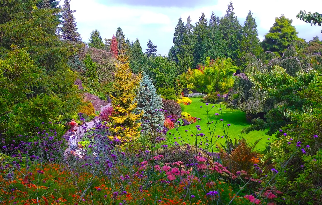 Фото обои деревья, цветы, парк, газон, обработка, Канада, Ванкувер, кусты