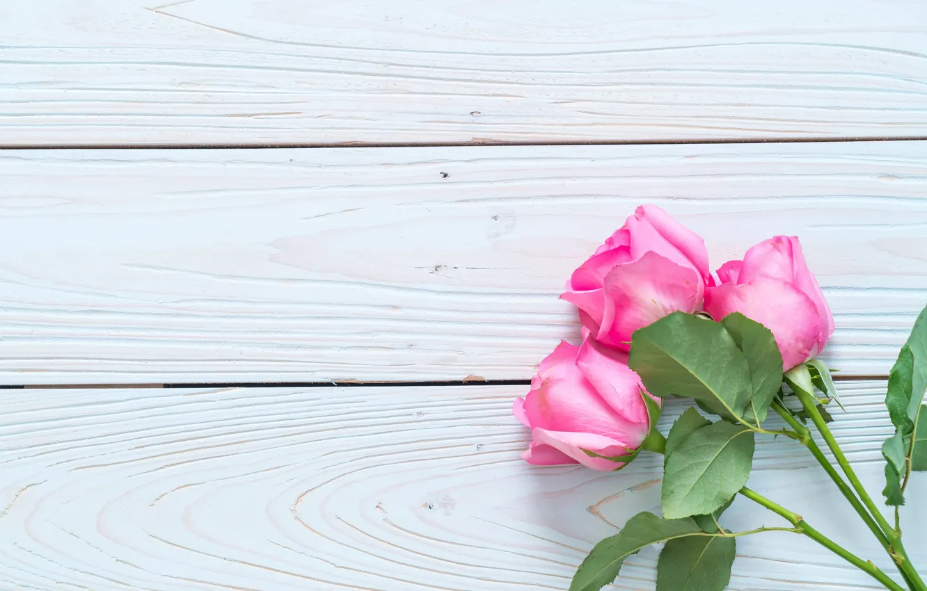 Фото обои цветы, розы, розовые, fresh, wood, pink, flowers, roses