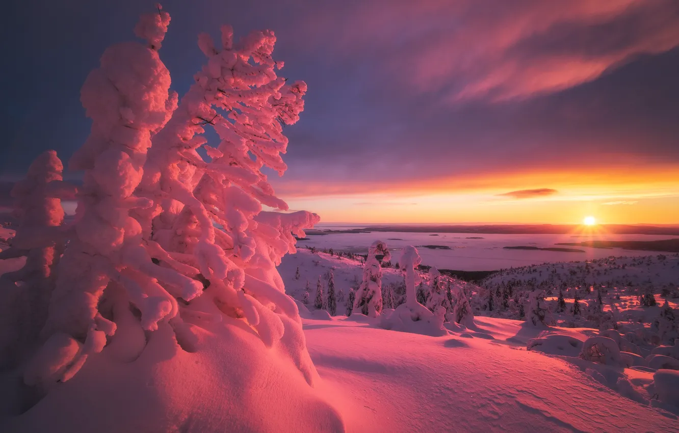 Фото обои зима, солнце, деревья, закат, озеро, вид