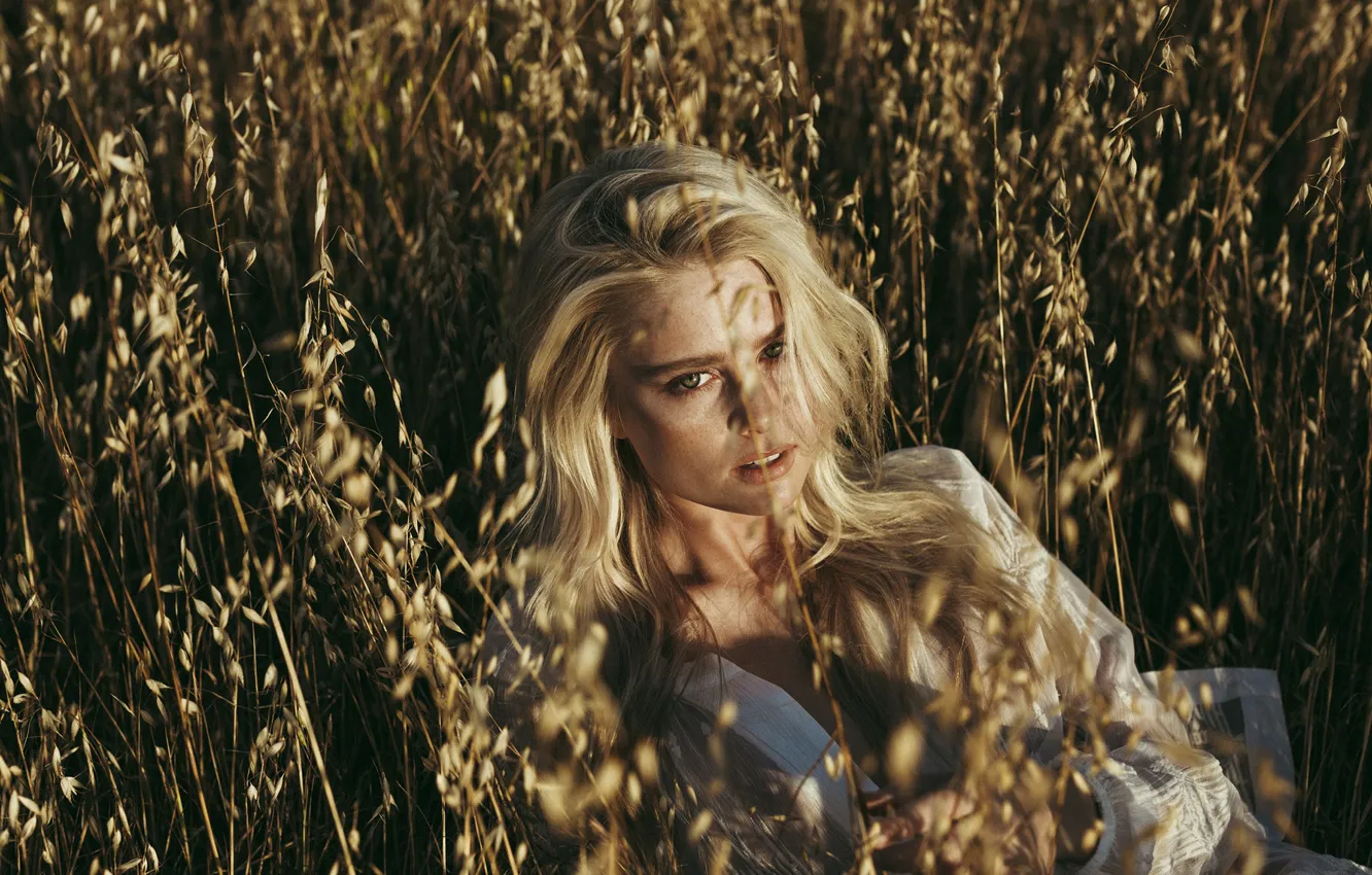 Фото обои трава, взгляд, девушка, свет, модель, Allison Holton