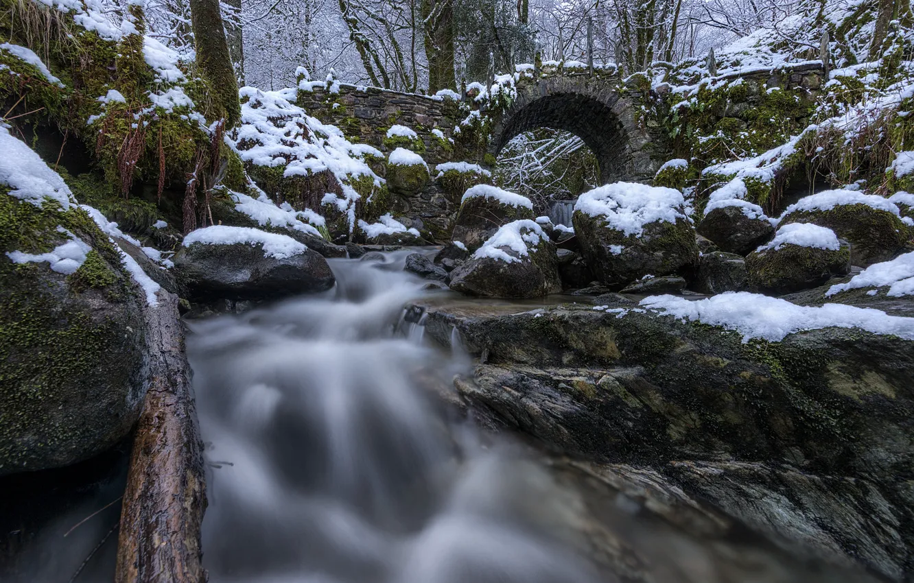 Фото обои лес, снег, мост, камни, Шотландия, речка, Scotland, Glen Creran