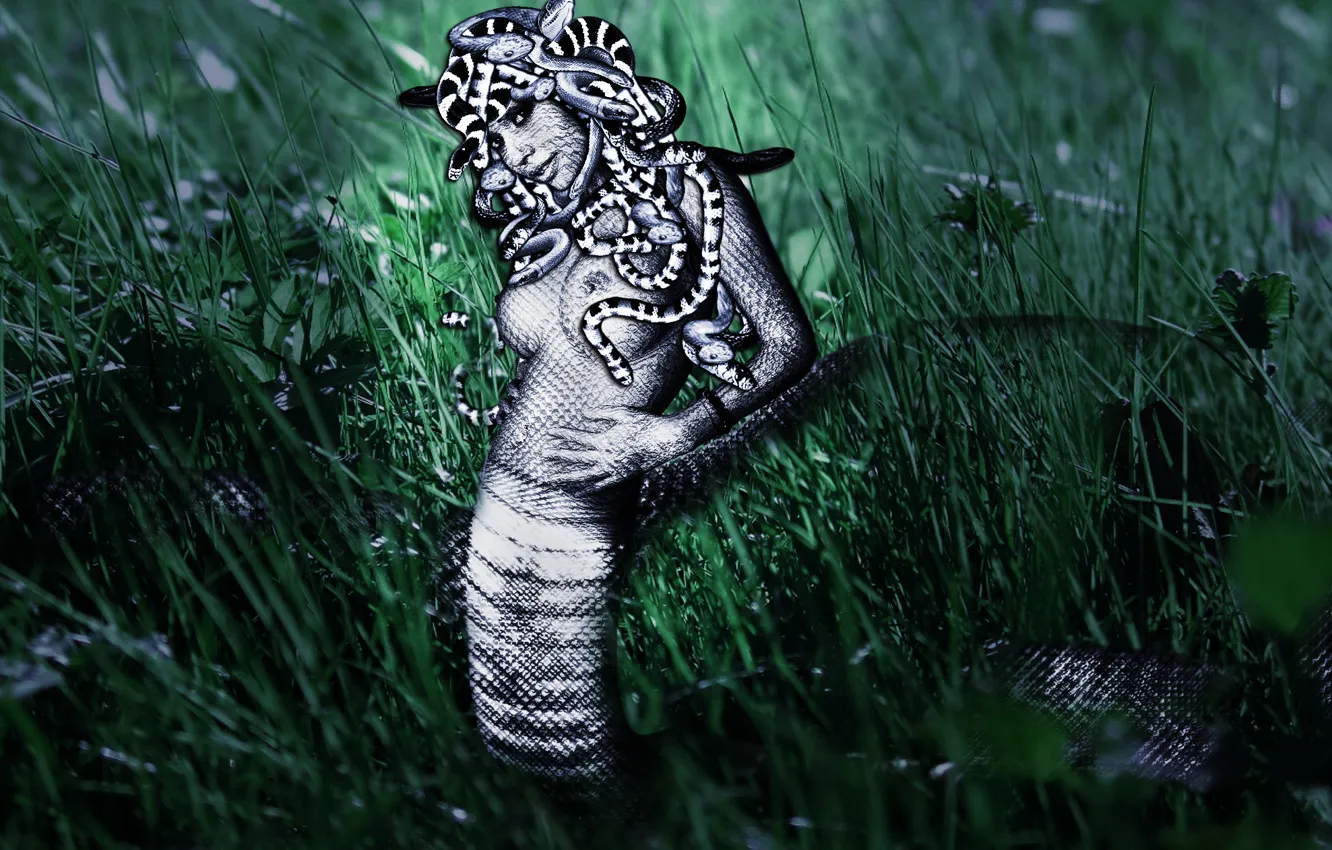 Фото обои трава, девушка, змея, медуза горгона
