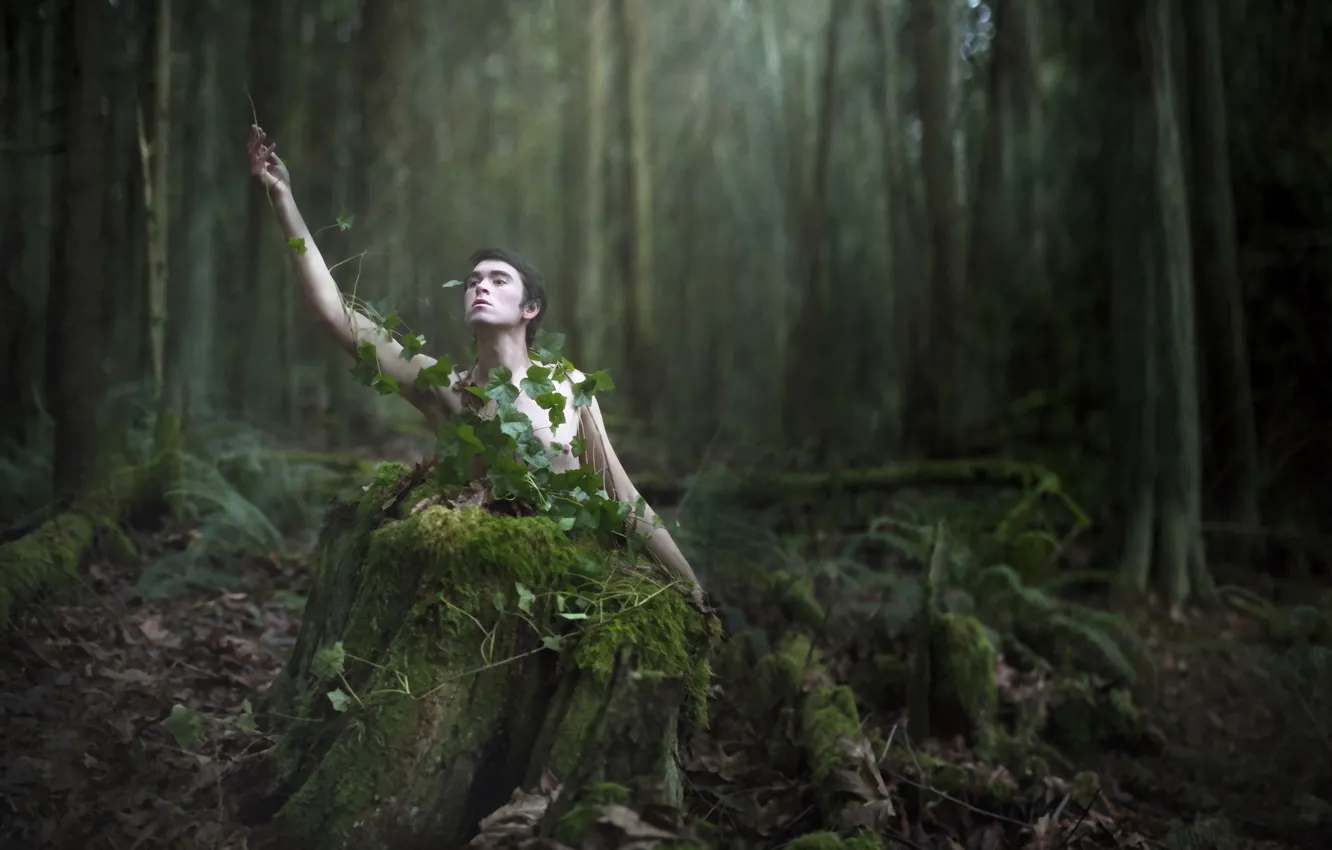 Фото обои woods, conceptual, selfportrait