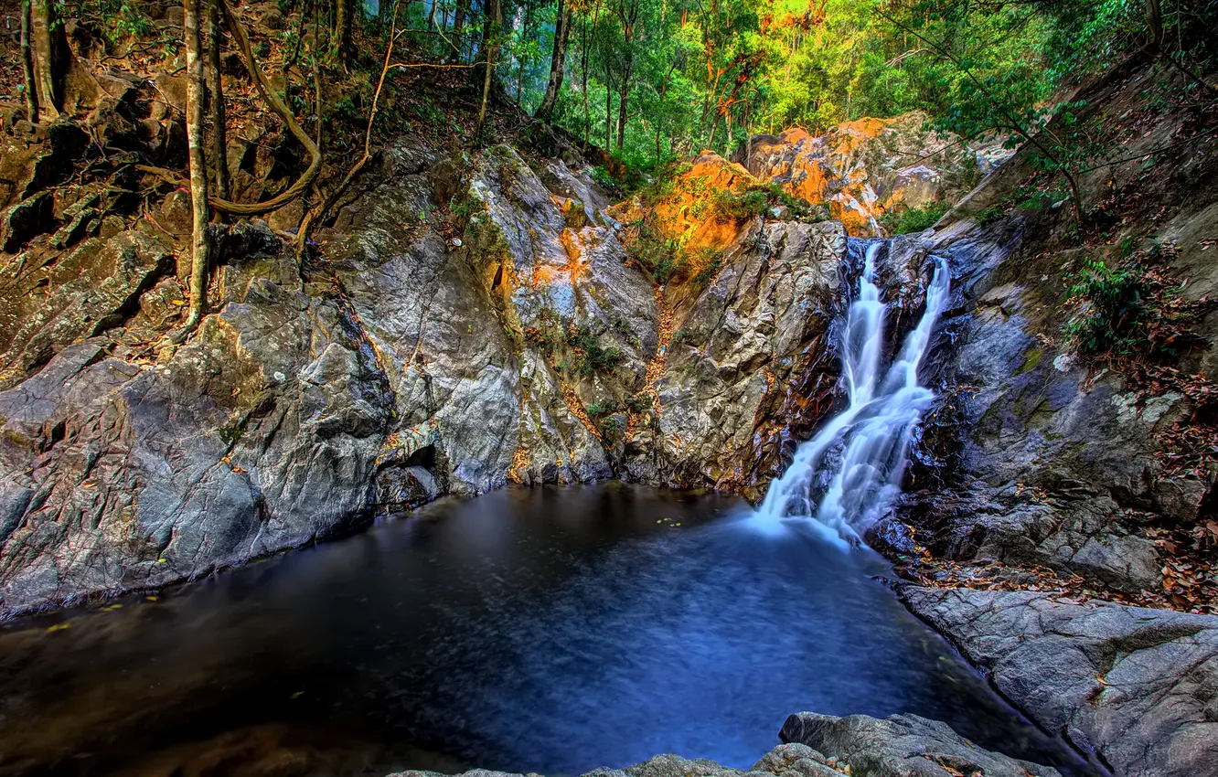 Фото обои лес, деревья, река, скалы, водопад, поток