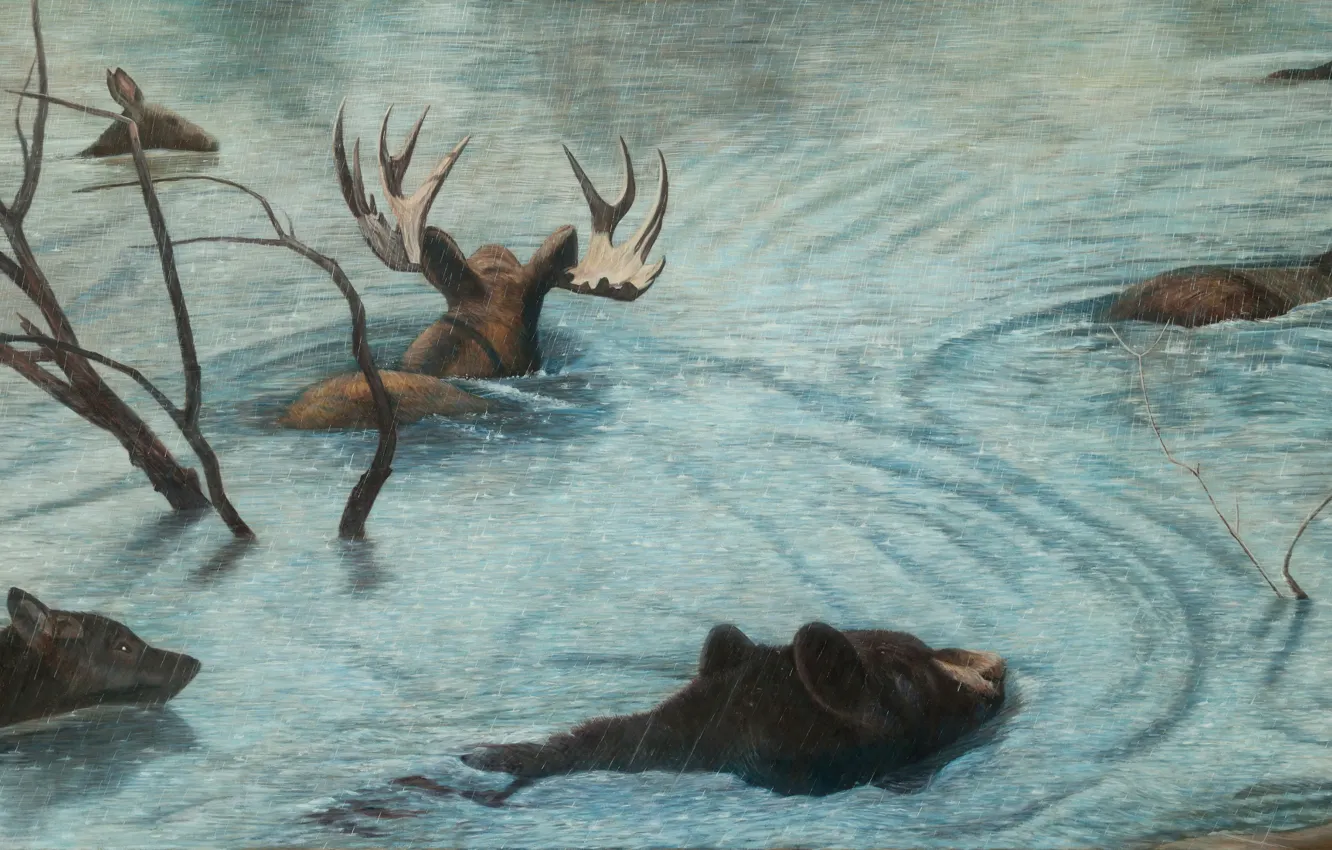 Фото обои картина, норвежский художник, Christer Karlstad, Jonah Swallowed A Whale