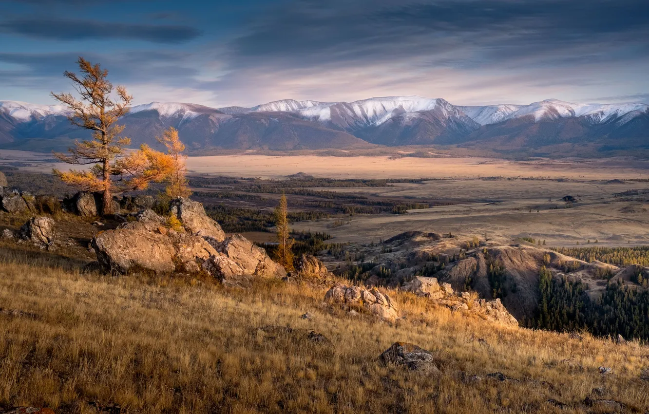 Фото обои Горный Алтай, Курайская степь, Надежда Демкина, Урочище Таджилу